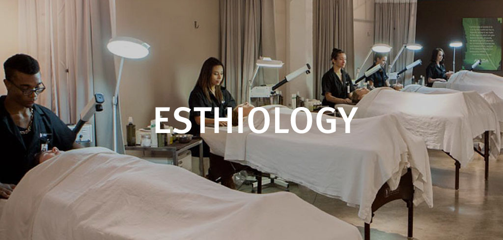 Image of esthiology students at the Aveda Institute Portland