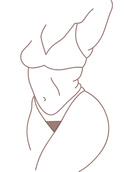 image of a diagram showing the area for a bikini wax