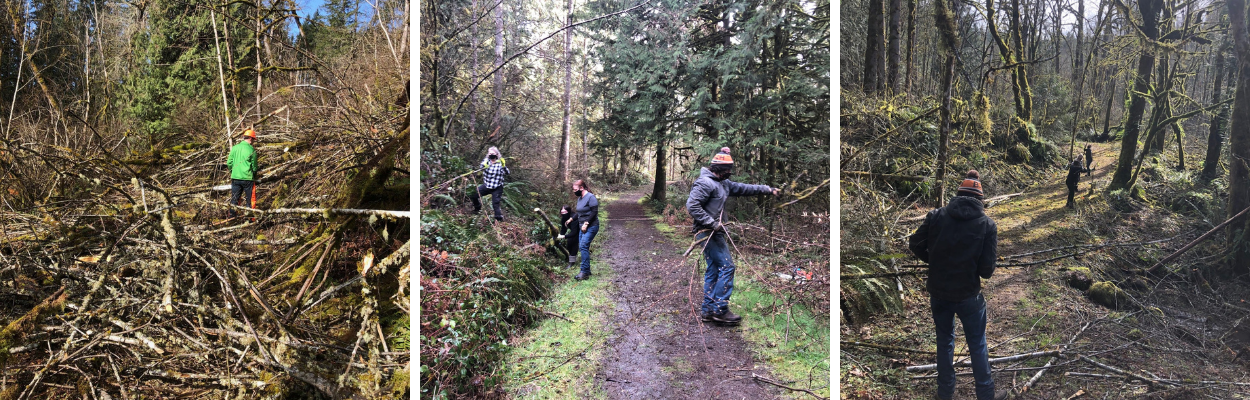 Volunteers cleaning up the trails at Hopkins Demonstration Forest after the winter storm damage